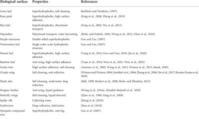 Biomimetic superhydrophobic metal/nonmetal surface manufactured by etching methods: A mini review